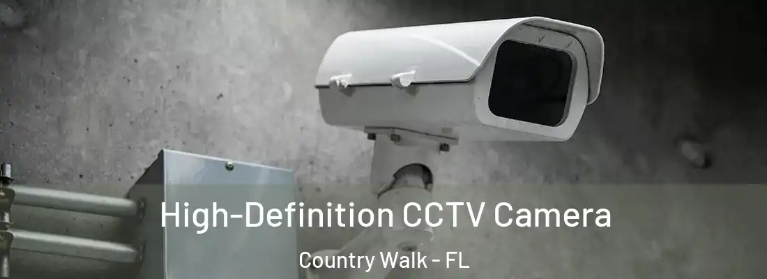 High-Definition CCTV Camera Country Walk - FL